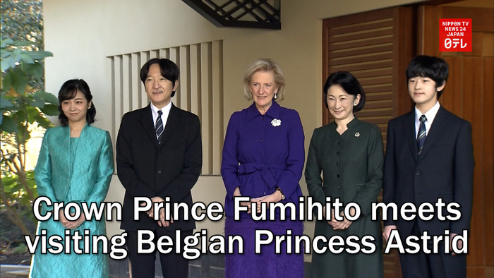 Crown Prince Fumihito meets visiting Belgian Princess Astrid