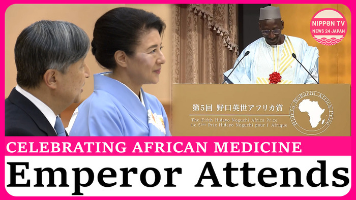 Emperor Naruhito attends award ceremony for medical research in Africa