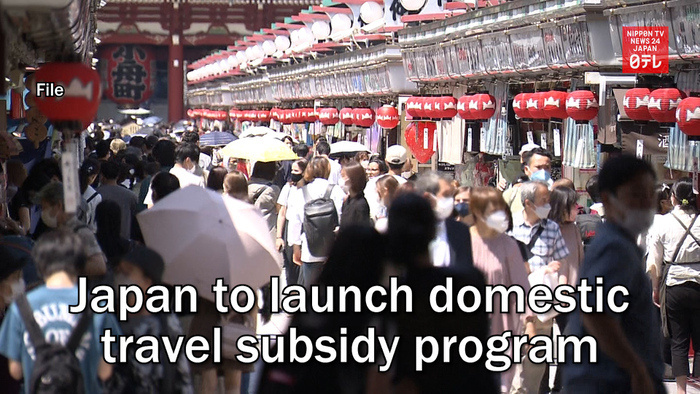 Japan to launch domestic travel subsidy program