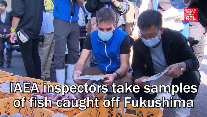 IAEA inspectors take samples of fish caught off Fukushima