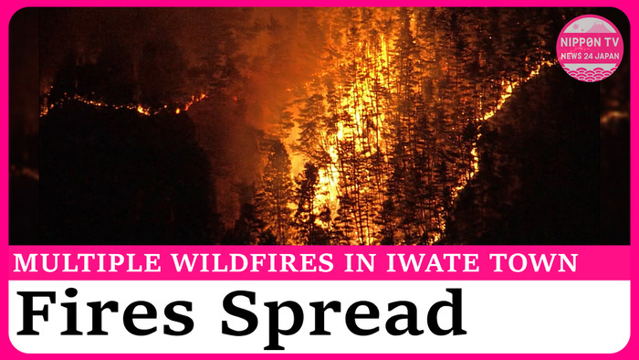 About 1,900 ordered to evacuate in Iwate forest fires