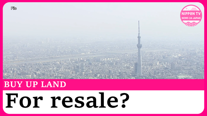 Nearly half of foreign land acquisitions for asset holding or resale -- gov. data