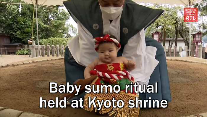 Baby sumo ritual held at Kyoto shrine