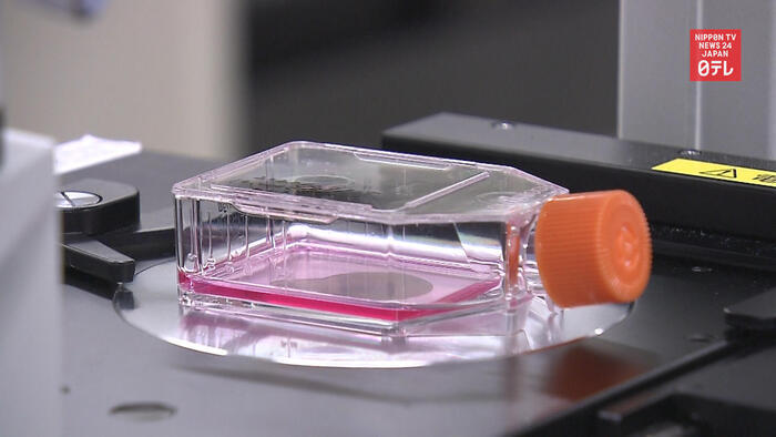 Rohto Pharmaceutical to test coronavirus drug that uses stem cells