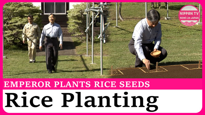 Emperor Naruhito plants rice seeds at Imperial Palace