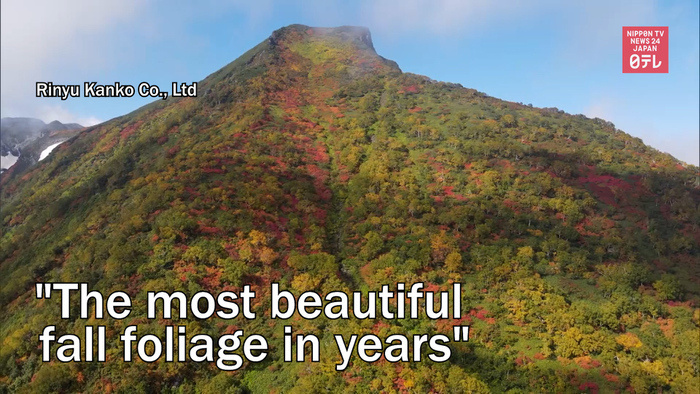 Mountain in central Hokkaido to have "the most beautiful fall foliage in years"