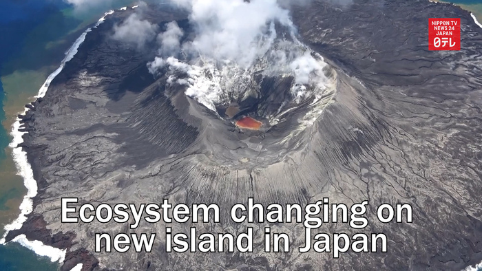 Ecosystem changing on new island in Japan