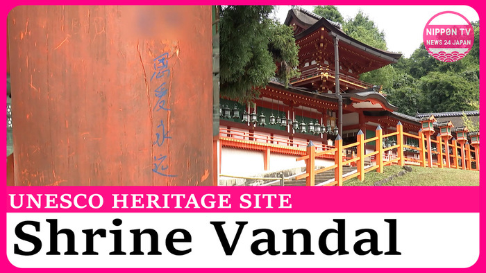 Nara world heritage shrine vandalized with blue graffiti