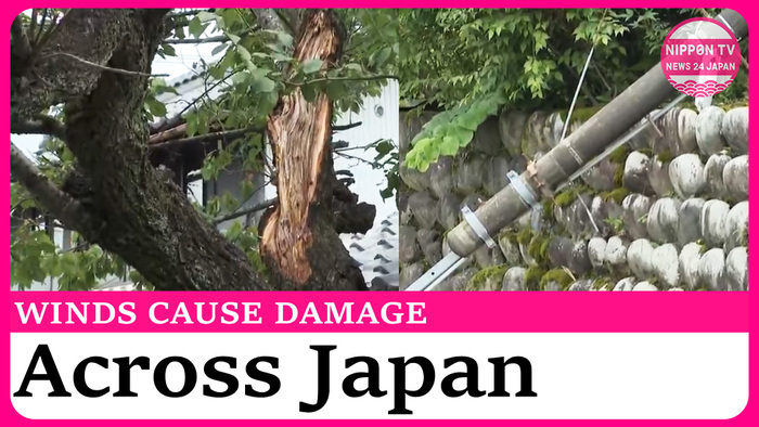 Torrential downpour and strong winds cause damage nationwide