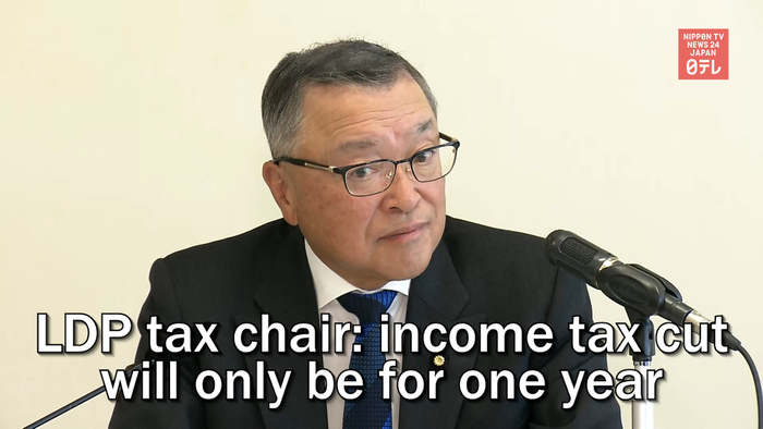LDP tax chair: income tax cut will only be for one year