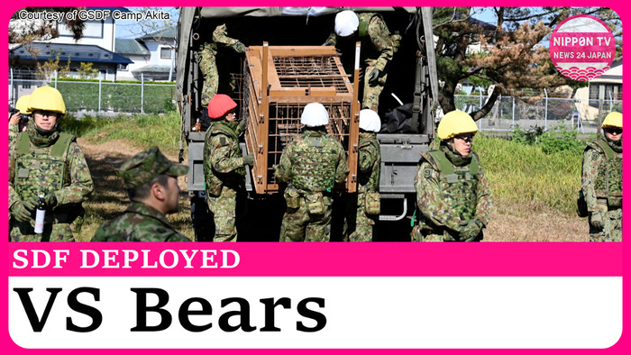 Japan's Self-Defense Force members arrive in Akita to address bear damage