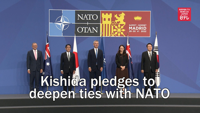 Japan's PM Kishida pledges to deepen ties with NATO