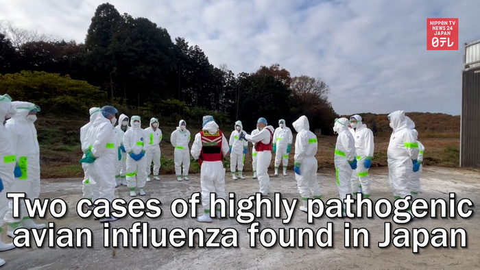 Two cases of highly pathogenic avian influenza found in Japan