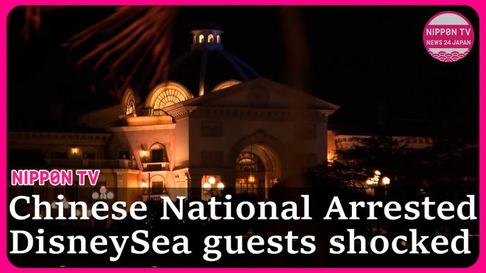 Blade-wielding Chinese national arrested after terrifying guests at DisneySea