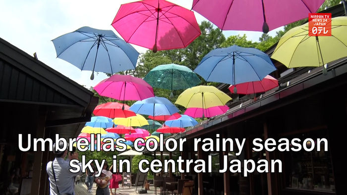 Umbrellas color rainy season in central Japan