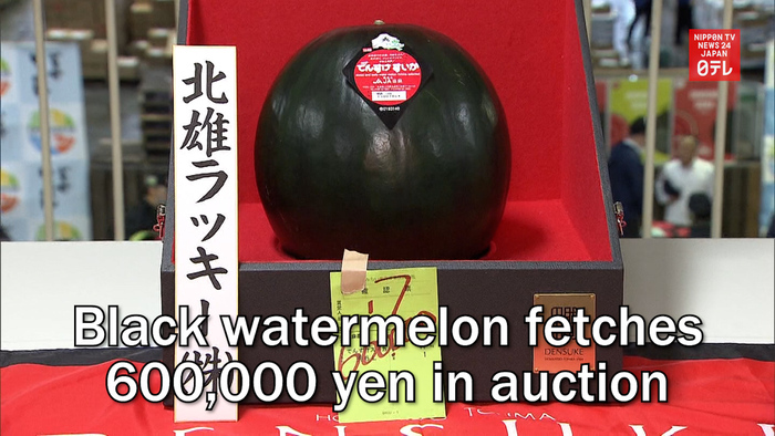Black watermelon fetches 600,000 yen in auction