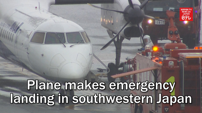 Plane makes emergency landing in southwestern Japan