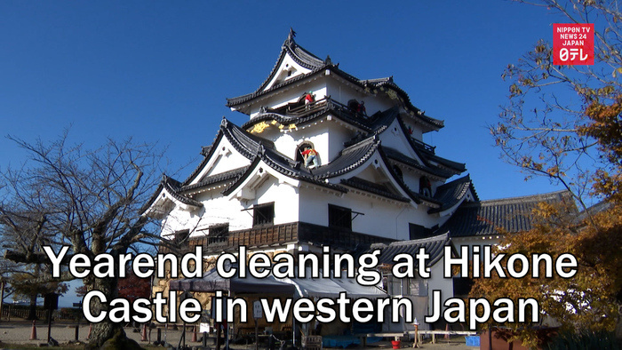 Yearend cleaning at Hikone Castle in western Japan