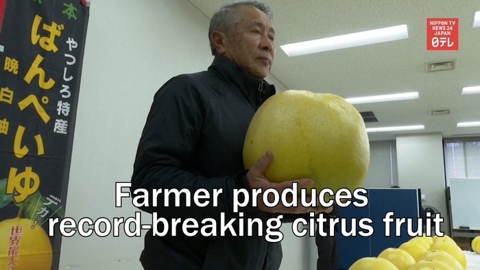Farmer produces record-breaking citrus fruit