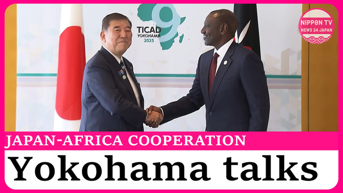 Over 300 public-private cooperation projects between Japan and Africa unveiled