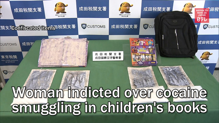 Woman indicted over cocaine smuggling in children's books