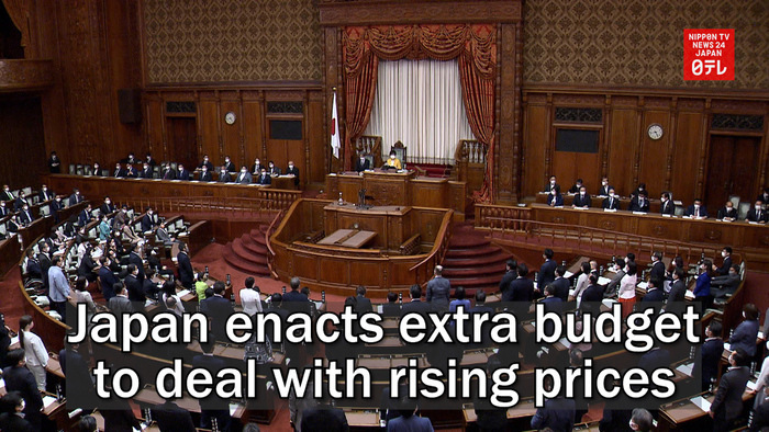 Japan enacts extra budget to deal with rising prices