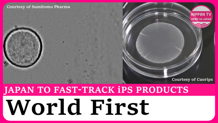 Health ministry panel endorses iPS-derived treatments for heart disease and Parkinson's