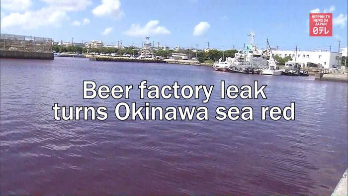 Beer factory leak turns Okinawa sea red 
