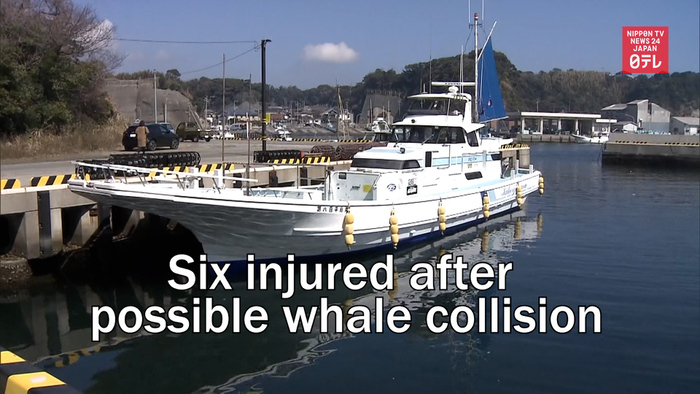 Six injured after possible whale collision