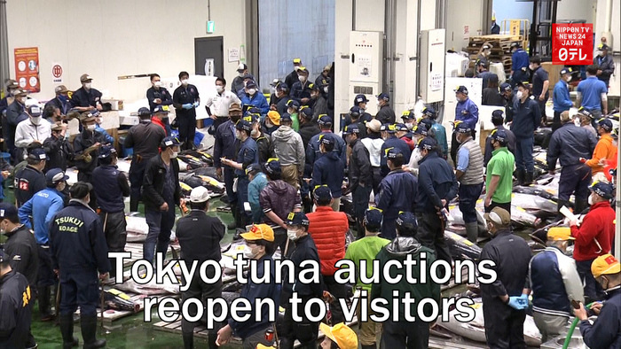 Tokyo tuna auctions reopen to visitors