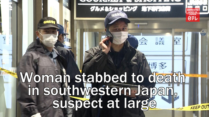 Woman stabbed to death in southwestern Japan, suspect at large