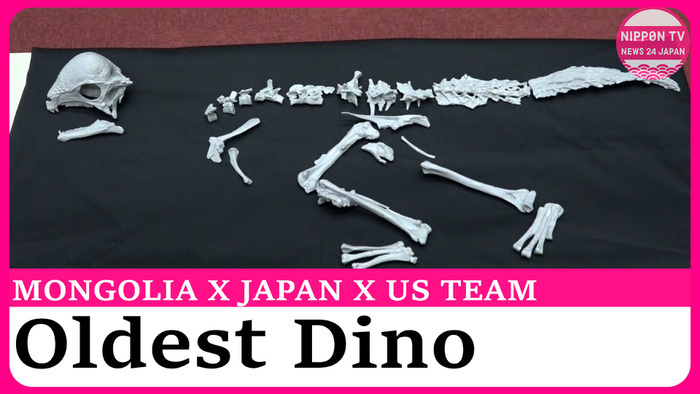 Worlds oldest fossil of dome-headed dinosaur discovered in Mongolia