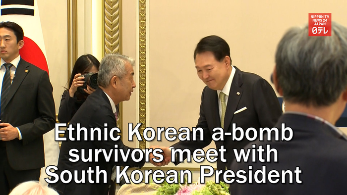 Ethnic Korean atomic bomb survivors meet with South Korean President