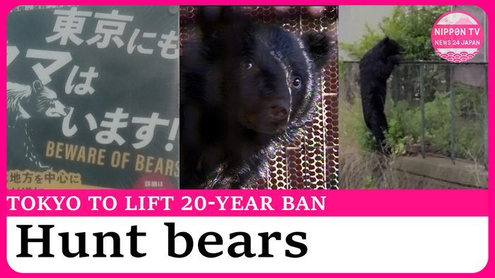 Tokyo moves to lift 20-year ban on black bear hunting amid rising sightings