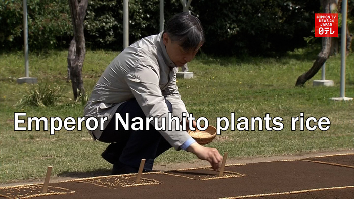 Emperor Naruhito plants rice
