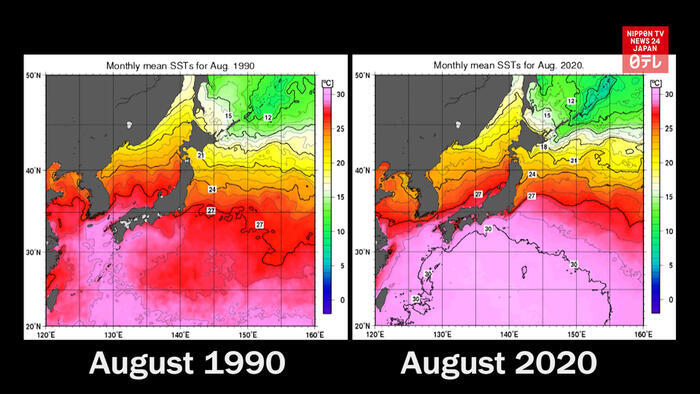 Sea surface temperatures around Japan soar in August