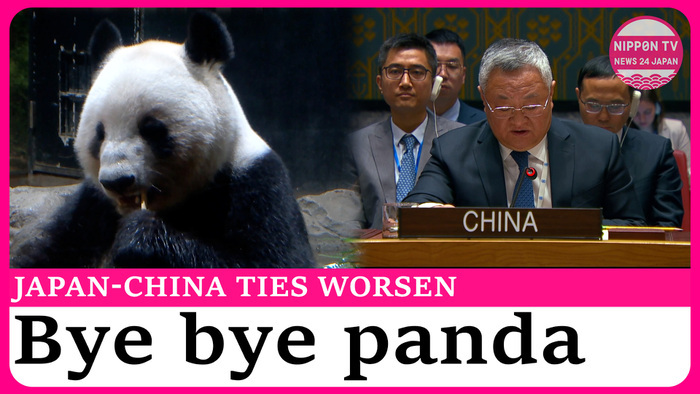 Japan to return pandas to China amid worsening diplomatic ties 