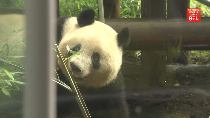 Tokyo's Ueno Zoo reopens after hiatus of 4 months