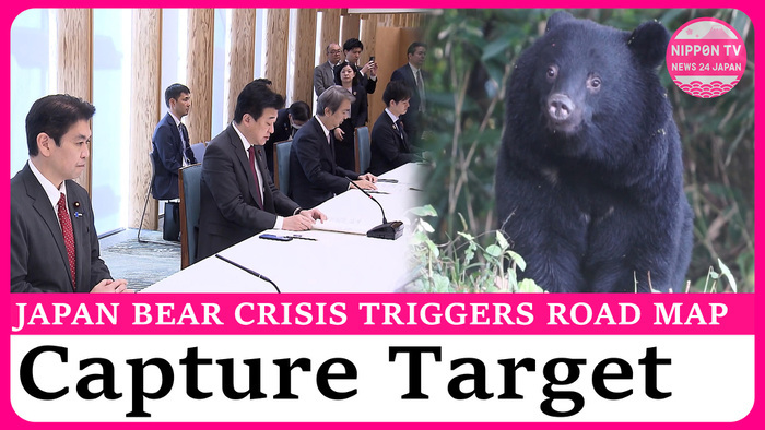 Japan compiles road map with plan to reduce bear population in Tohoku by 20 percent