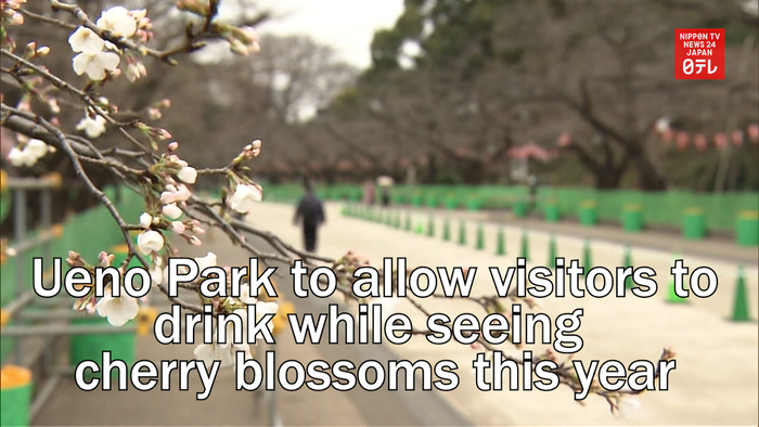 Tokyo's Ueno Park to allow visitors to drink while seeing cherry blossoms this year