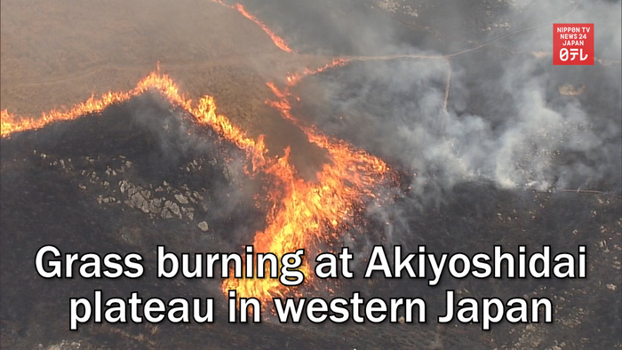 Grass burning at Akiyoshidai plateau in western Japan