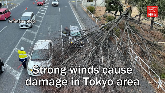 Strong winds cause damage in Tokyo area