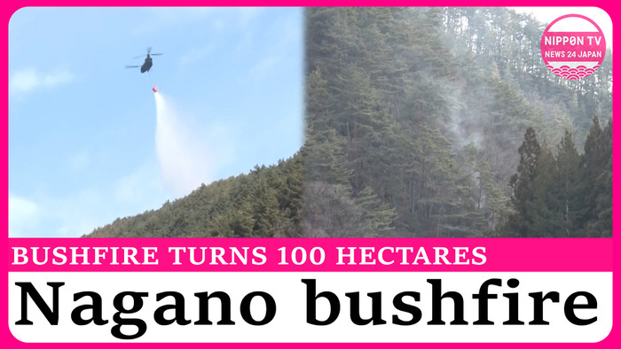 Nagano bushfire burns at least 100 hectares of land 