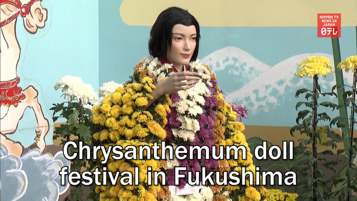 Chrysanthemum doll festival in Fukushima