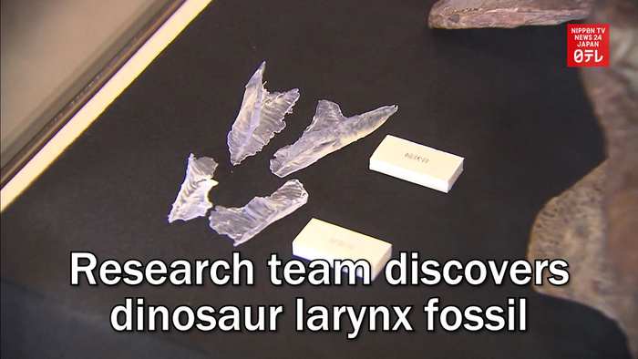 Research team discovers dinosaur larynx fossil