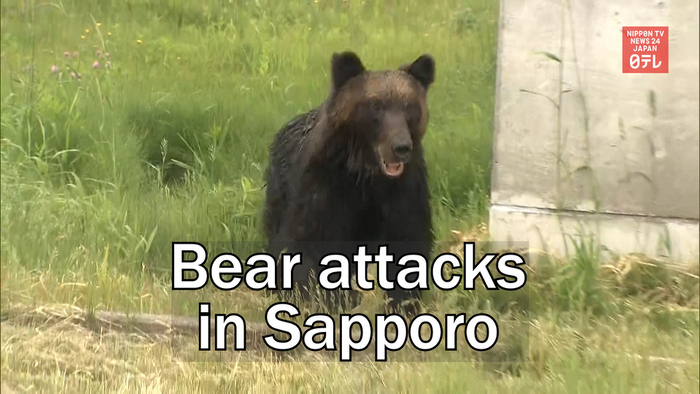 Bear attacks people in Sapporo residential areas