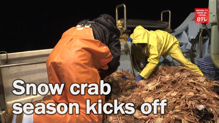Snow crab season kicks off in central Japan