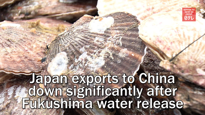 Japan marine exports to China down significantly after Fukushima water release