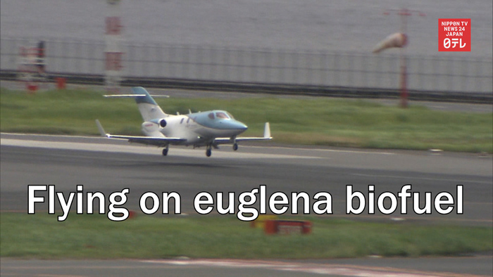 Flight using biofuel made of euglena