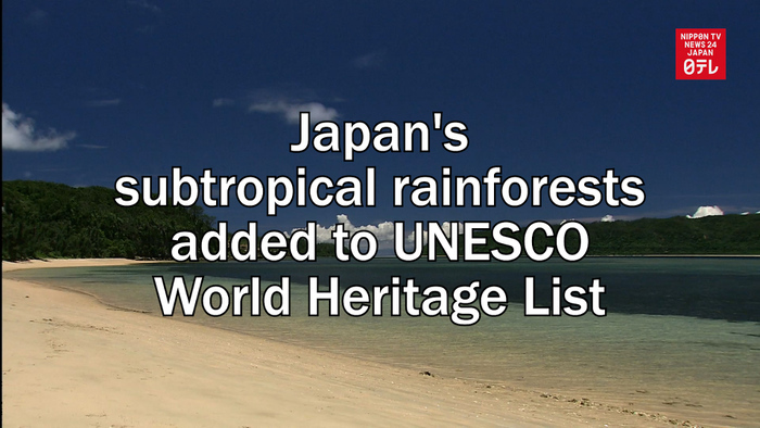 Japan's subtropical rainforests added to UNESCO World Heritage List